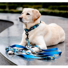 CHABA Obroża regulowana Story III L Carnival