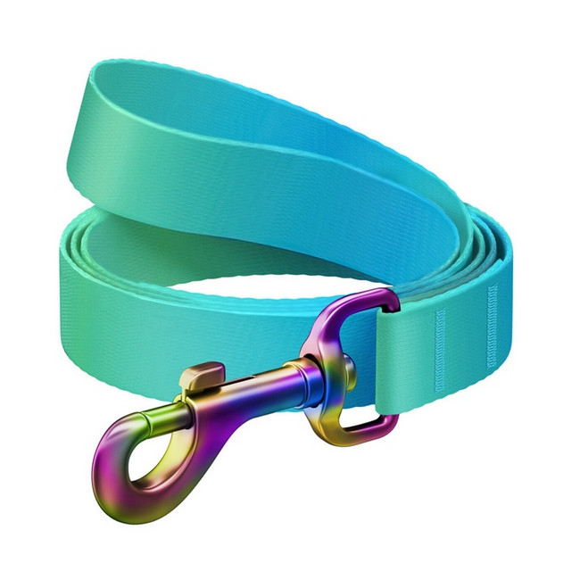 Collar WauDog Recycled Smycz nylonowa, gradient M 20mm/122cm niebieski