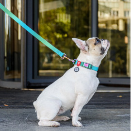 Collar WauDog Recycled Smycz nylonowa, gradient M 20mm/122cm niebieski