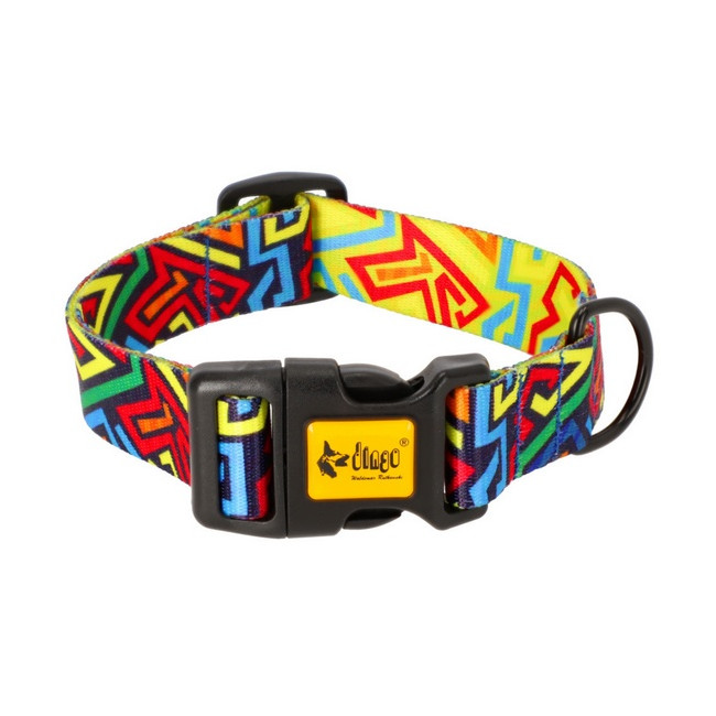 Dingo Obroża regulowana City - Graffiti 3,0cm/60cm