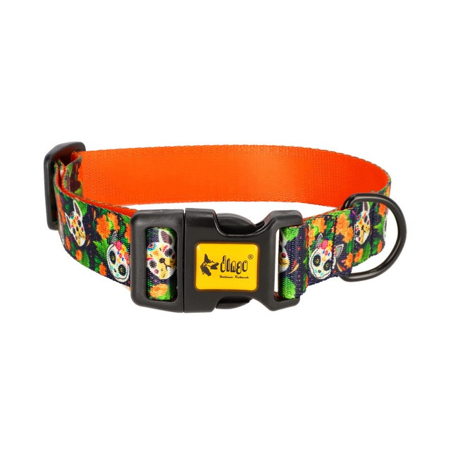 Dingo Obroża regulowana City - Chiapas 3,0cm/60cm