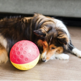 Nina Ottosson Dog Treat Tumble Large 13cm - gra edukacyjna [67327]