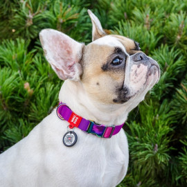 Collar WauDog Recycled Obroża nylonowa z QR-paszportem, gradient S 15mm/25-35cm fioletowy