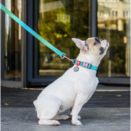 Collar WauDog Recycled Obroża nylonowa z QR-paszportem, gradient S 15mm x 25-35cm niebieski