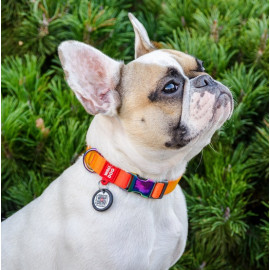 Collar WauDog Recycled Obroża nylonowa z QR-paszportem, gradient S 15mm x 25-35cm pomarańczowy