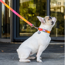 Collar WauDog Recycled Obroża nylonowa z QR-paszportem, gradient S 15mm x 25-35cm pomarańczowy