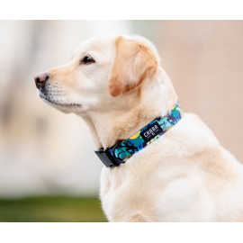 CHABA Obroża regulowana Story III M Carnival