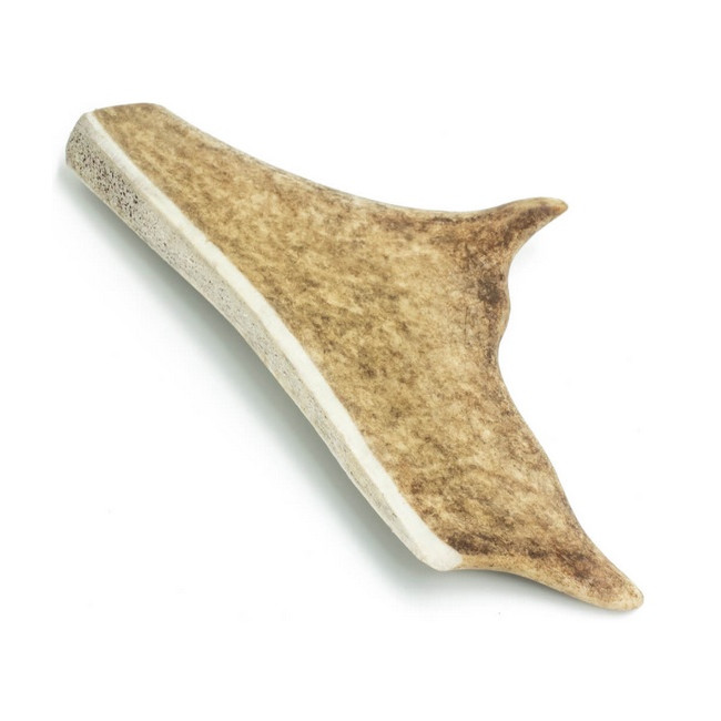 4DOGS Gryzak z poroża daniela M