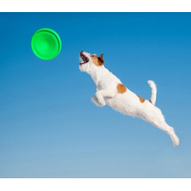 Collar Flyber Latający spodek 22cm jasnozielony