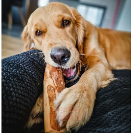 4DOGS Gryzak z drzewa oliwnego S