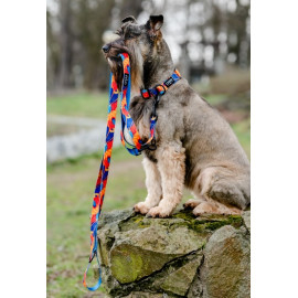 CHABA Obroża regulowana Story III M Aussie