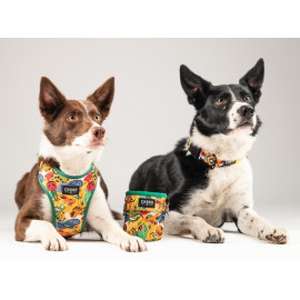 CHABA Obroża regulowana Story III M Jumbo