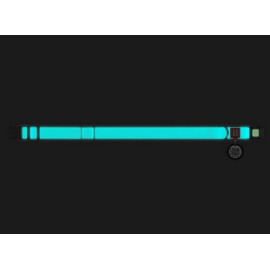 Collar WauDog Waterproof Obroża wodoodporna z QR-paszportem, akumulująca światło, plastikowy fastex, 15mm/25-35cm