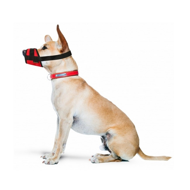 Grande Finale Kaganiec dla psa standard rozmiar 1 (12-20cm)