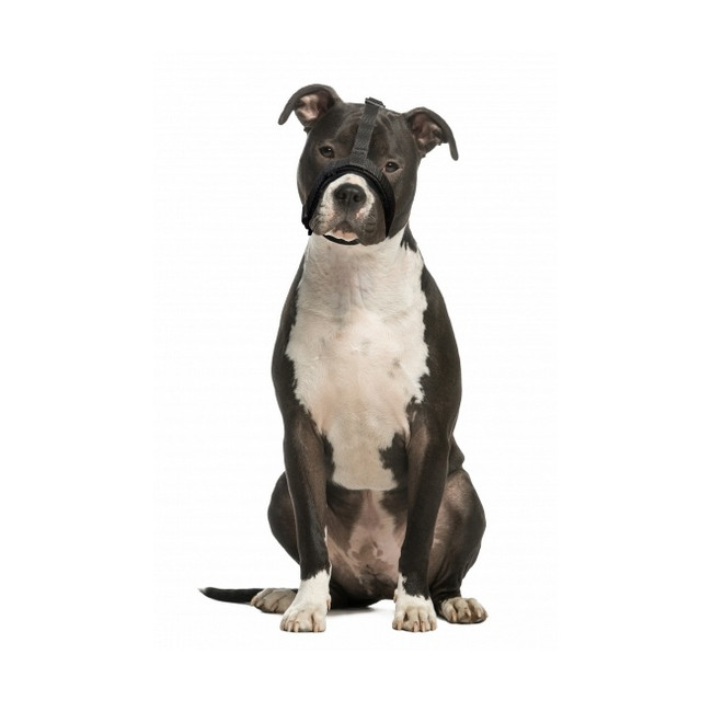 Grande Finale Kaganiec dla psa pekińczyk rozmiar 4 (22-30cm)