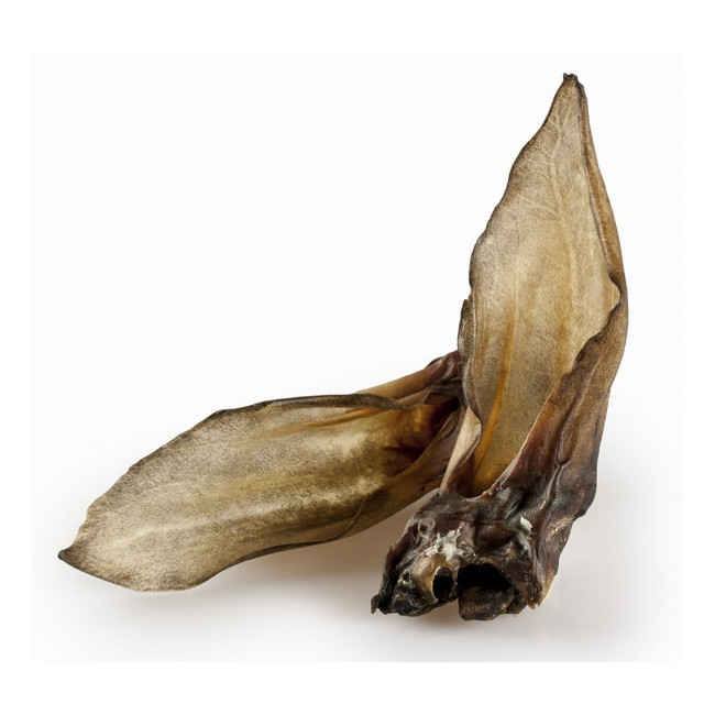 Balto Ucho sarny 5szt