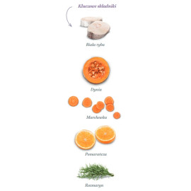 Amanova Cat Sterilised Fish Delicacy - biała ryba 300g