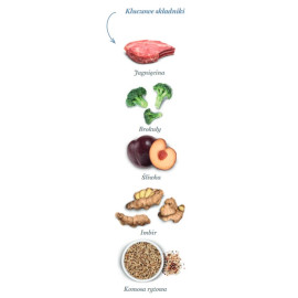Amanova Cat Sterilised Delicious Lamb - jagnięcina 300g