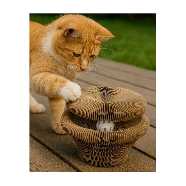 Zolux Chatouille Drapka tekturowa składana łapka z piłką i kocimiętką