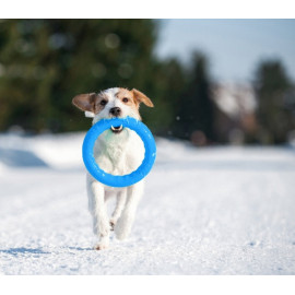 Collar PitchDog20 Pierścień do aportowania 20cm niebieski