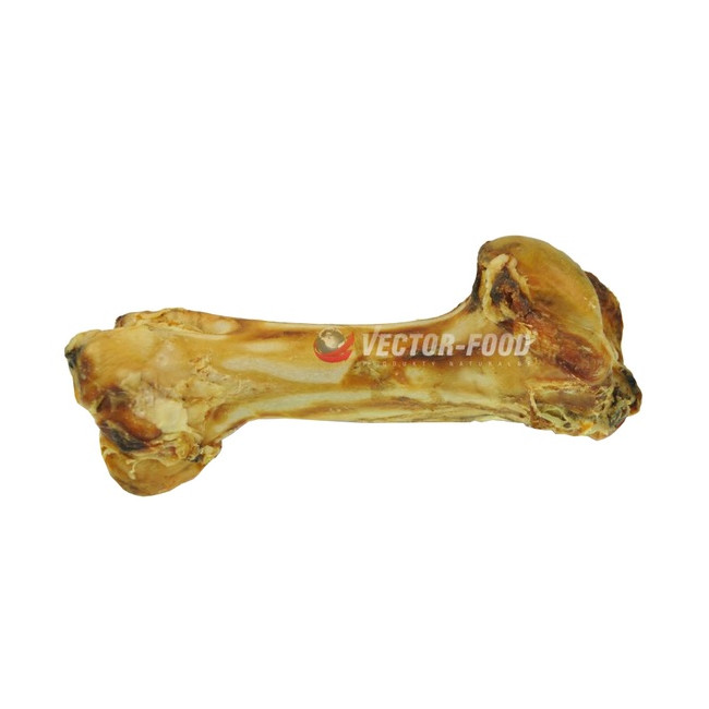 Vector-Food Kość wołowa gigant 1szt.