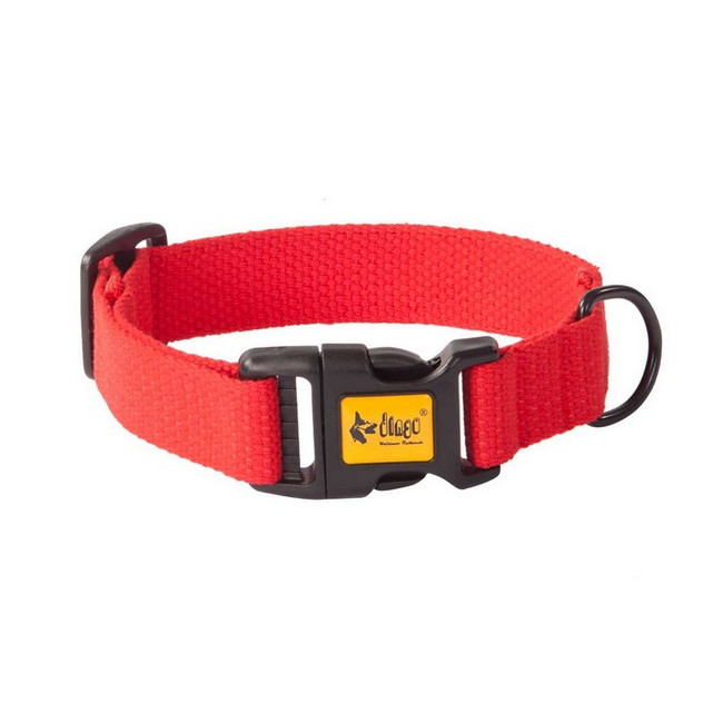 Dingo Obroża regulowana z taśmy bawełnianej 1,6x35cm czerwona