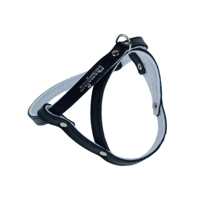 Champion Szelki 40 czarne [SD]