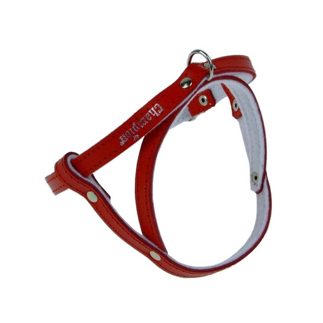 Champion Szelki 40 czerwone [SD(R)]