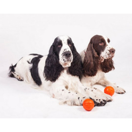 Collar Liker9 Piłka o średnicy 9cm