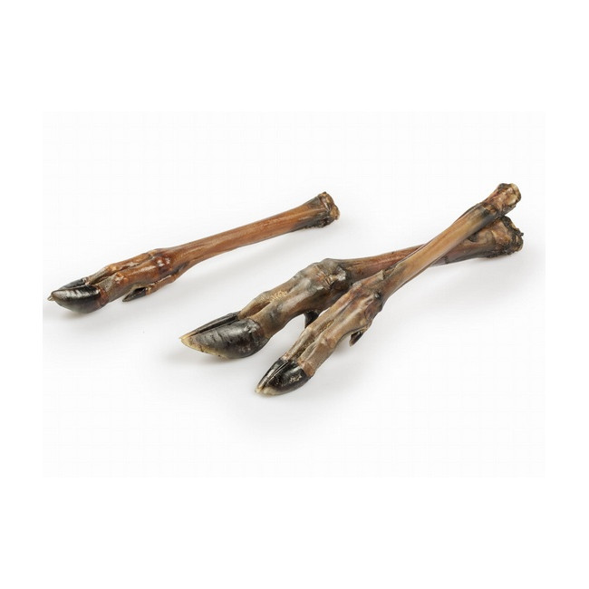 Balto Racica sarny 5szt