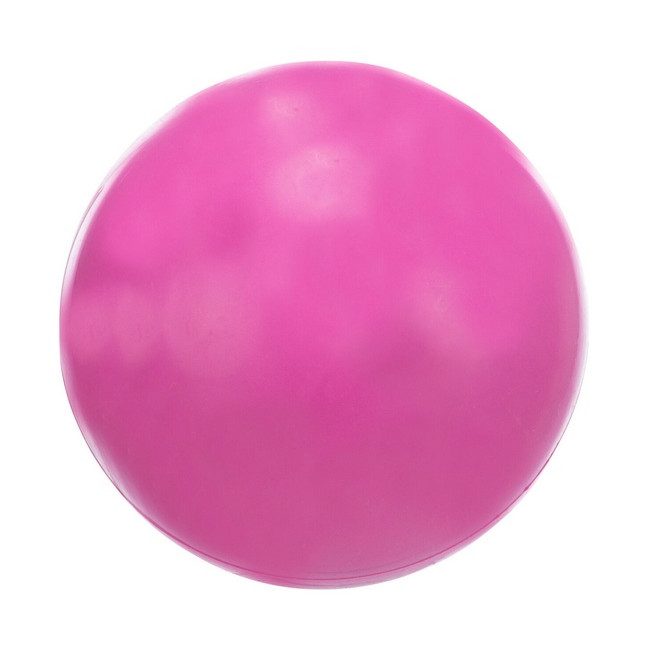 Trixie Piłka gumowa 7cm twarda [3302]