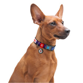 Collar WauDog Nylon Obroża nylonowa z QR-paszportem, plastikowy fastex, wzór NASA, 25mm/37-58cm