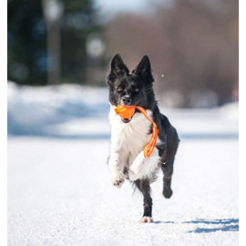 Collar Liker7 Line o średnicy 7cm