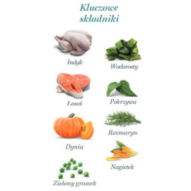 Amanova Dog Adult Tasty Salmon & Turkey - łosoś i indyk saszetka 300g [P06]