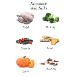 Amanova Dog Adult Turkey Delight - indyk saszetka 300g [P07]