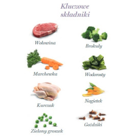 Amanova Dog Adult Brilliant Beef & Chicken - wołowina i kurczak saszetka 300g [P01]