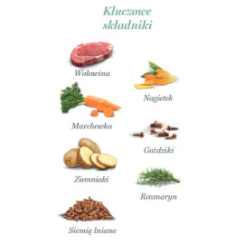 Amanova Dog Adult Irresistible Beef - wołowina saszetka 300g [P02]