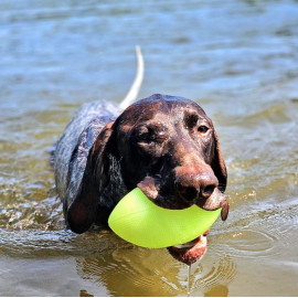 Dingo Zabawka dla psa - Piłka świecąca Play & Glow 14x8cm