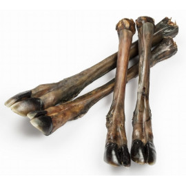 Balto Racica jelenia 2szt