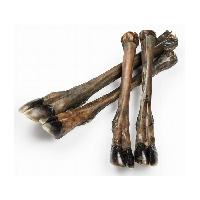 Balto Racica jelenia 2szt