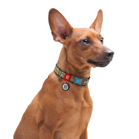 Collar WauDog Nylon Obroża nylonowa z QR-paszportem, plastikowy fastex, wzór MILITARY, L 25mm/33-49cm