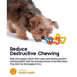 Petstages Mini Gumowe kosteczki PS243