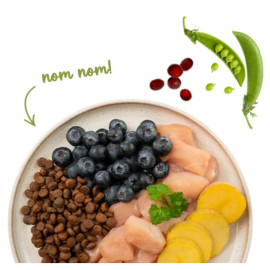 Sanabelle Adult No Grain Huhn - bezzbożowa z kurczakiem 400g