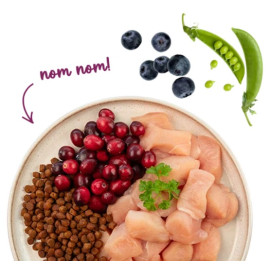 Sanabelle Senior 400g