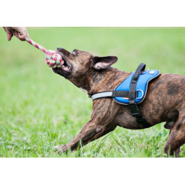 Dingo Piłka plecionka ze sznura 250g/27cm