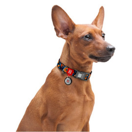Collar WauDog Nylon Obroża nylonowa z QR-paszportem, plastikowy fastex, wzór POMARAŃCZE, 20mm/28-40cm