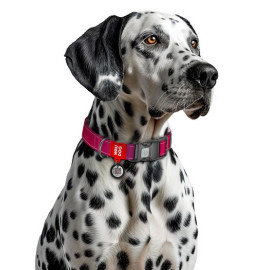Collar WauDog Nylon Mono Obroża nylonowa odblaskowa z QR-paszportem, plastikowy fastex, S 15mm/25-35cm różowa