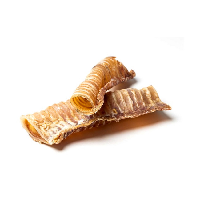 Bult Tchawica wołowa 2szt