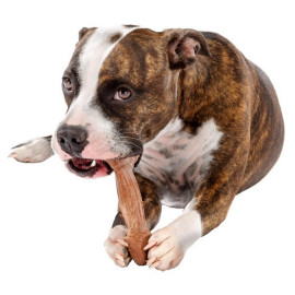 Ferplast GoodBite Natural SinglePack Wołowina 1szt M 70g