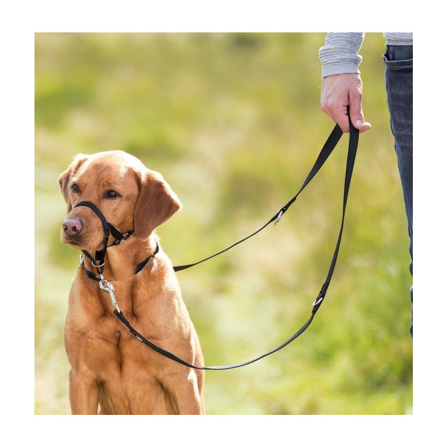 Trixie Uprząż Top Trainer L/3 31cm [TX-13004]